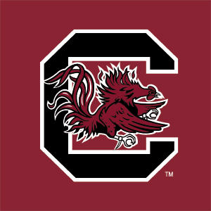 University of South Carolina Gamecocks Logo Red PS5 Controller Skin